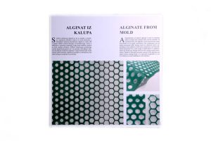 Alginat_Gussverfahren_Text