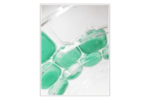 102_Bubble_Pavillon_01